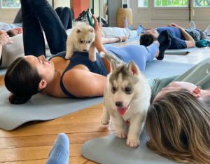 Puppy Yoga Event