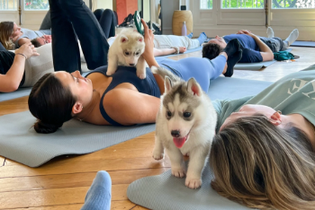Puppy Yoga Event