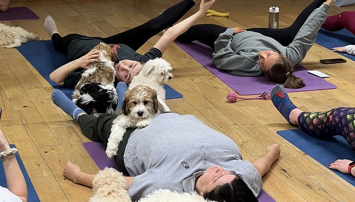 Puppy Yoga July